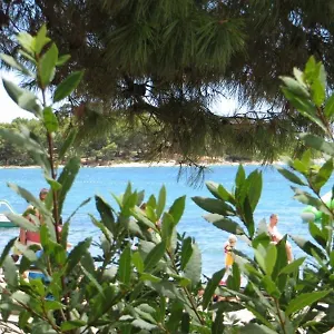 Apartment Beachfront &, Pakoštane